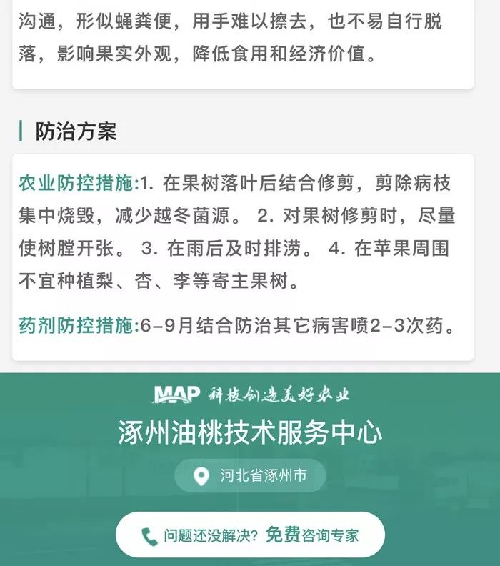 吃苹果不小心吞了虫子有什么后果,吃苹果咬到多少条虫最可怕