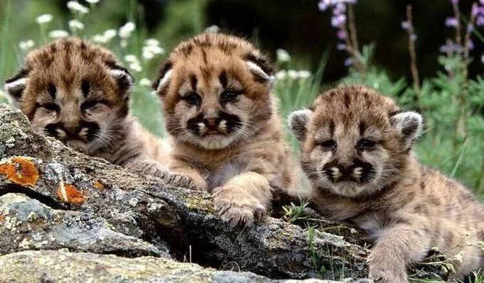 上海景点交通攻略,上海公交车旅游攻略