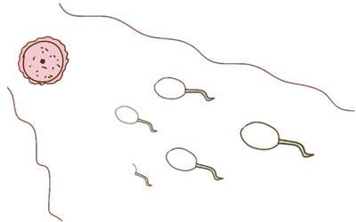 写给想生孩子的人,写给即将生孩子人的话