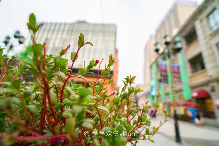 武汉楚河汉街游览攻略,武汉楚河汉街风景秀丽