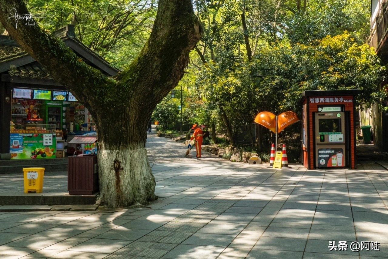 杭州虎跑泉水,杭州虎跑泉旅游攻略