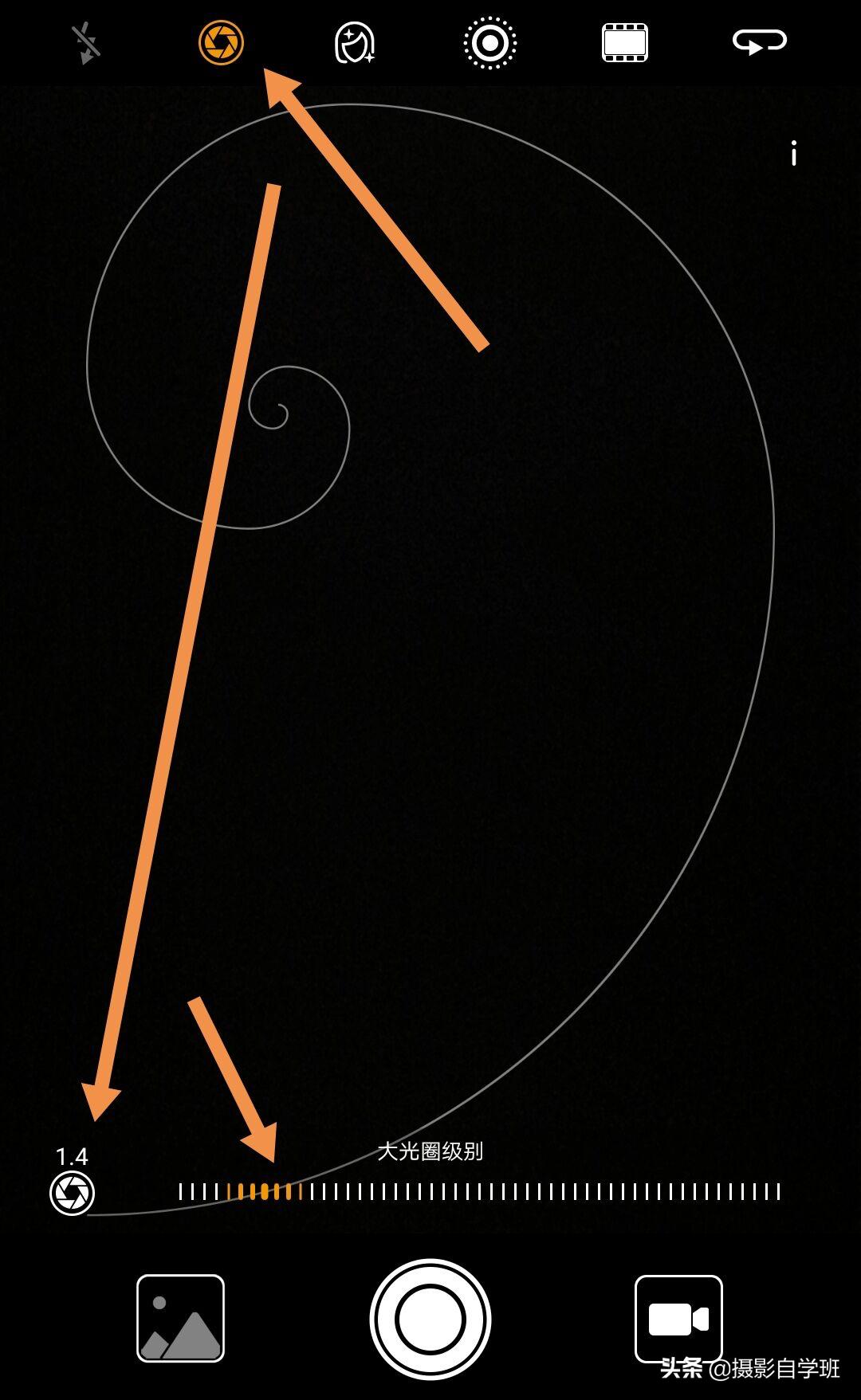 拍春天花的摄影技巧,拍美花草学这9个摄影技巧