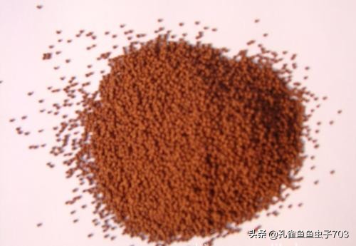 一周不在家孔雀鱼怎么办呢,假期不在家孔雀鱼会不会死