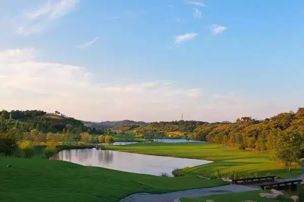 安吉桃花源逸竹,安吉江南桃花源