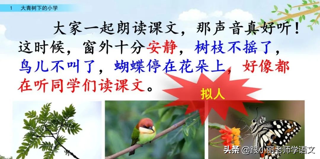 大青树下的小学重要背诵内容,大青树下的小学必会知识点