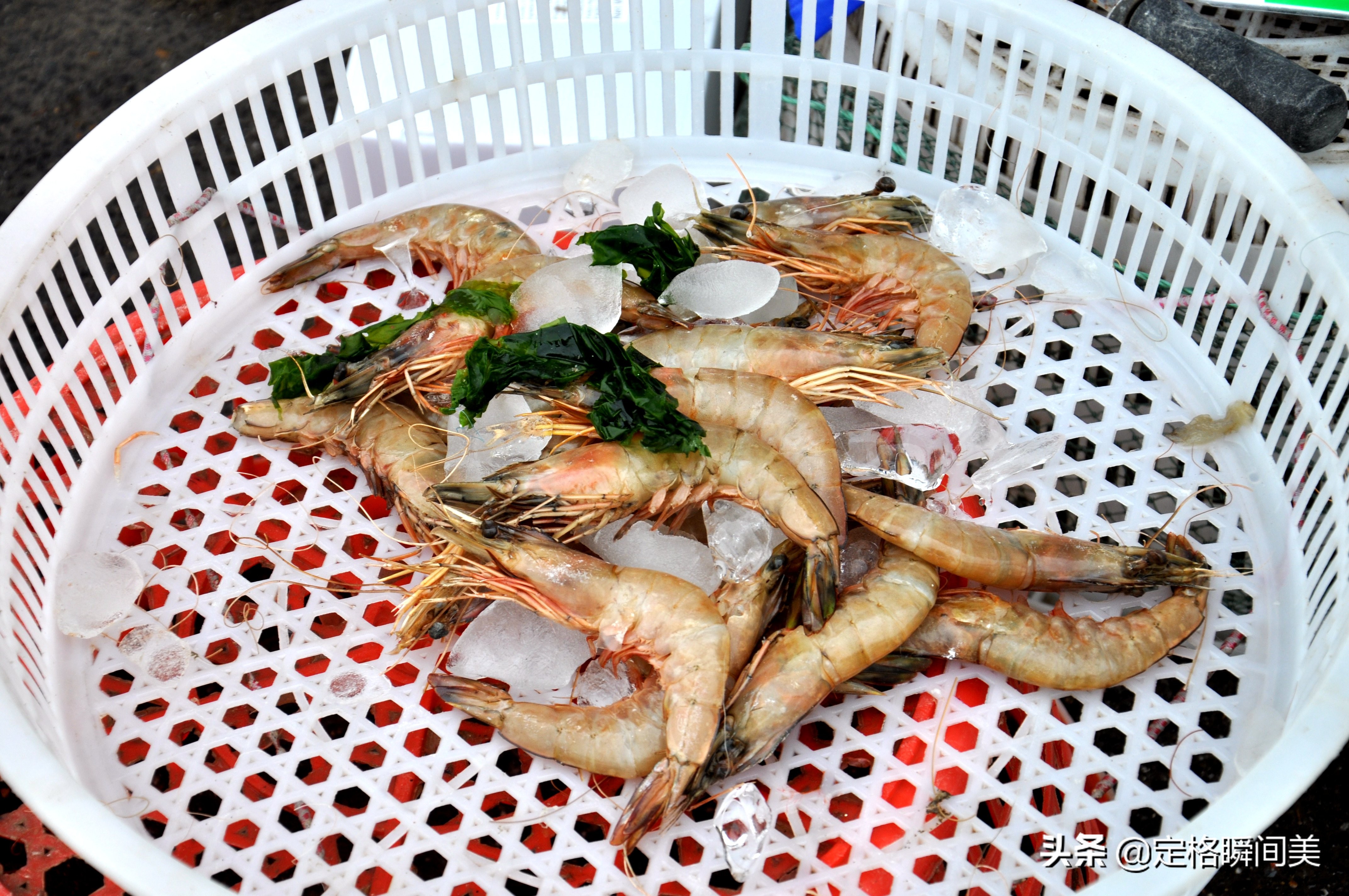 青岛哪个码头海鲜便宜又好,青岛海鲜码头海鲜