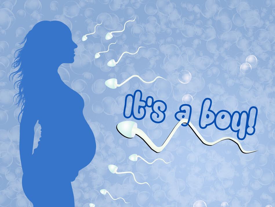 试管婴儿取4个卵剩下都是空卵,做试管婴儿是不是经常要往医院跑