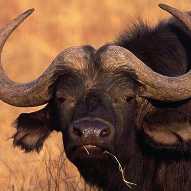 40种躺着赚钱的方法，选好相对适合自己的，拼命的干拼命的赚。