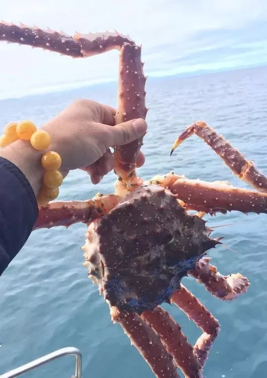 柬埔寨七日游报价,去柬埔寨旅游自由行行程