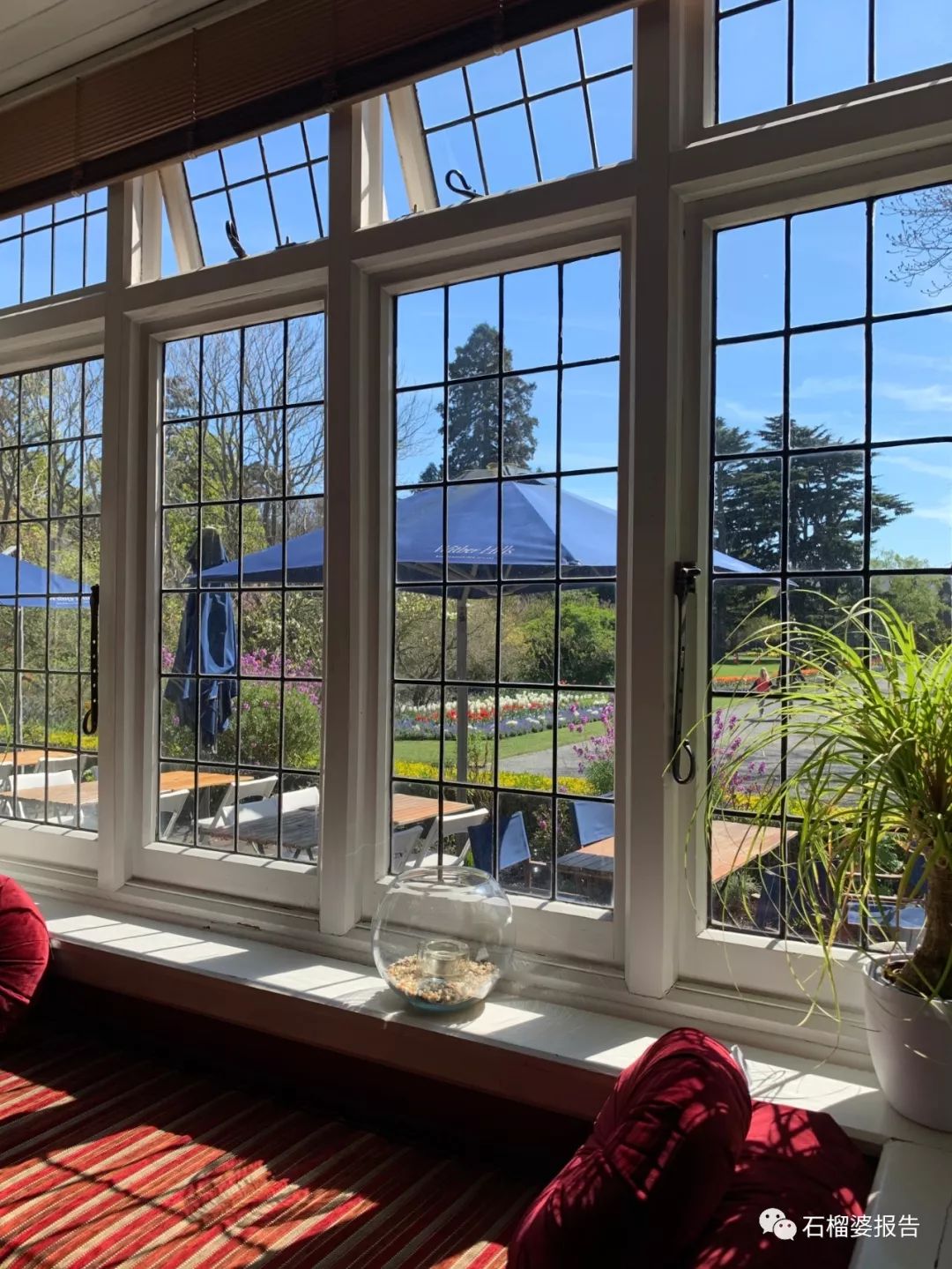 旅行7天,新西兰霍比特人村游记