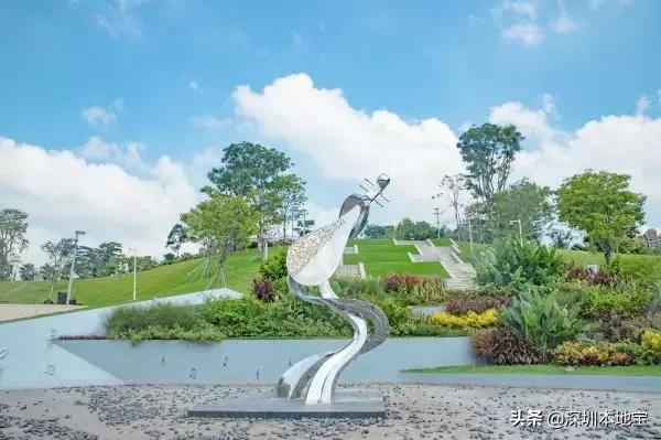 深圳免费的景点有哪些地方,深圳有哪些免费又好玩的地方景点
