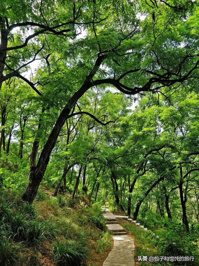 威海环翠区菊花顶,威海菊花顶东区