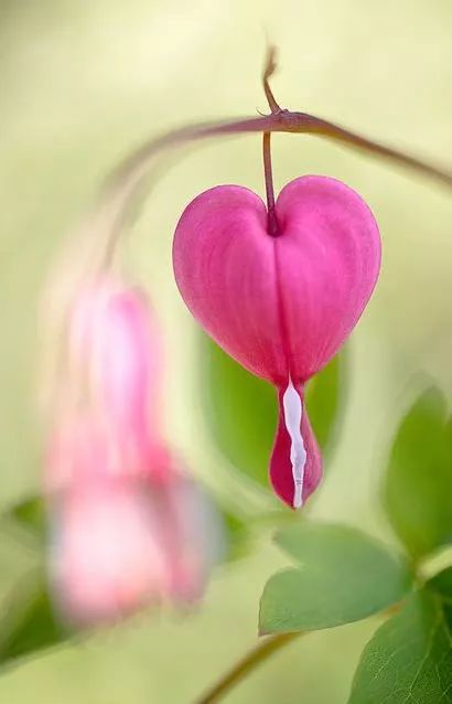 这把伞诗歌:《四月童话》