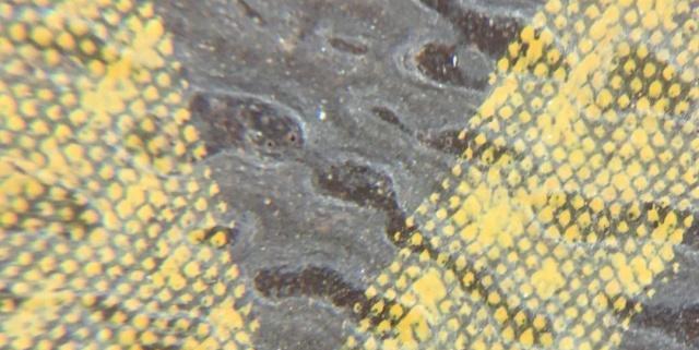 奢侈品鉴定lv圆饼,奢侈品鉴定lv购物袋