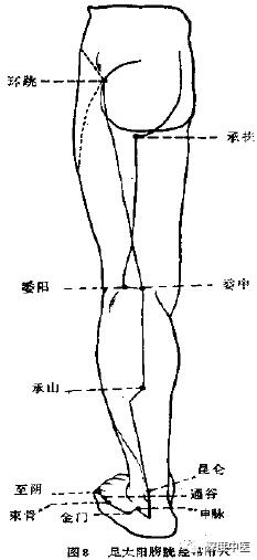 简述常用的五种配穴方法并举例,中医有几种配穴方法