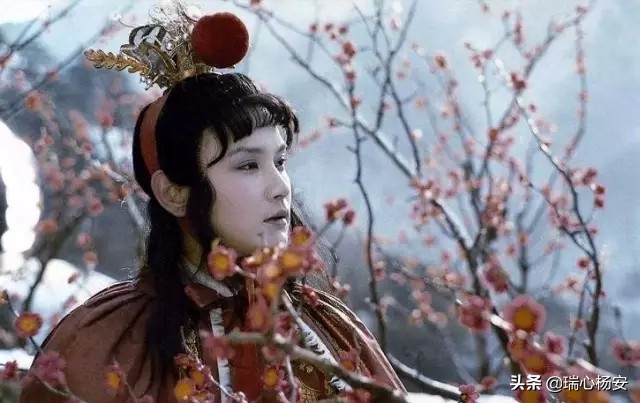 最新红楼梦诗词全译,最美的红楼梦古诗词