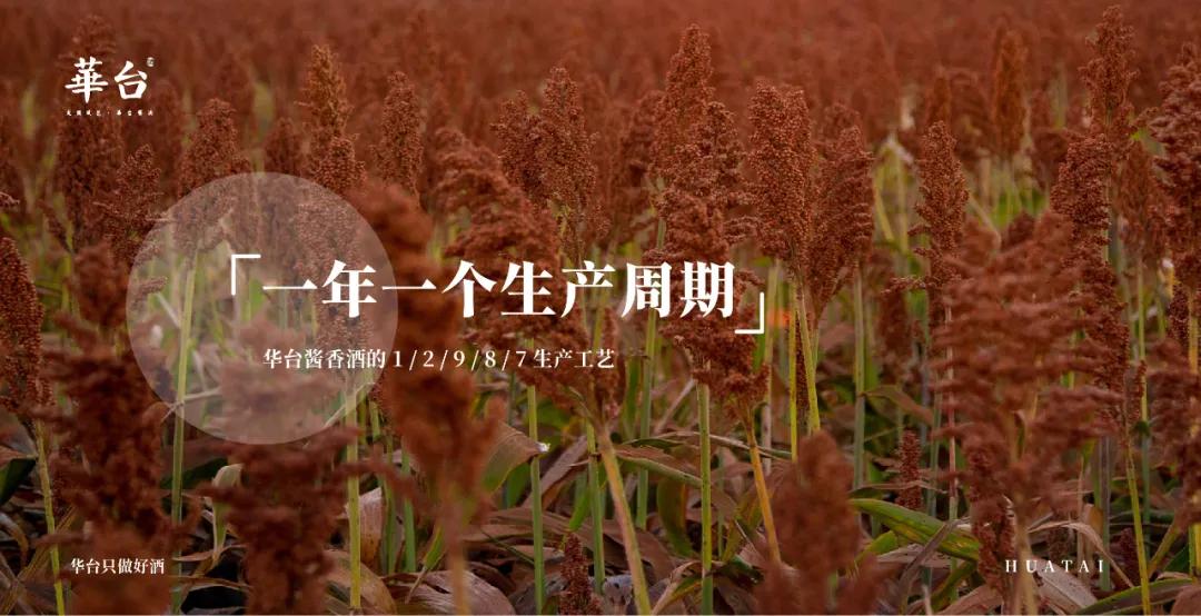 华台酱酒，一个真正以匠心酿酱酒的品牌