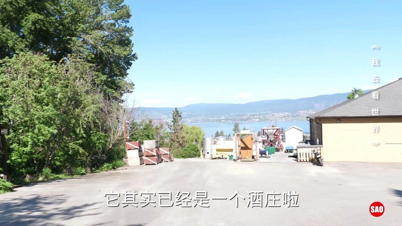 红酒葡萄酒可以放多久,红酒放的不酸不涩了还能喝吗