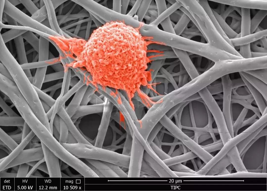 绉戠爺澹佺焊,绉戠爺浜虹殑鏂板勾澹佺焊