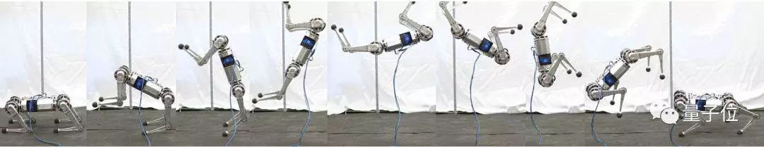 会空翻的机器狗,新一代机器狗