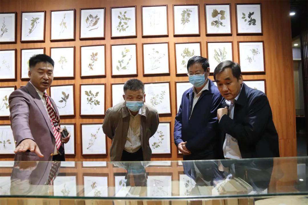 国际文化交流基地,临沂同德中医医院