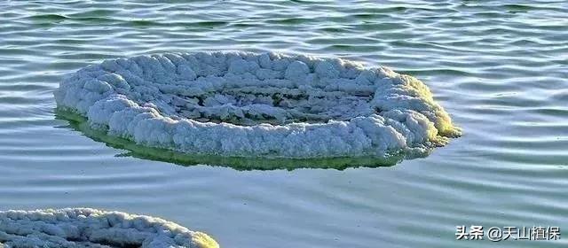 死亡之海罗布泊面积多大,罗布泊死亡之海之谜