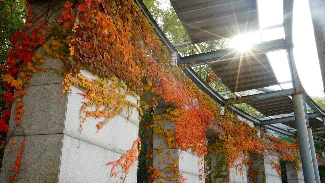 沈阳理工大学辽宁工程技术大学,沈阳理工大学专科院校