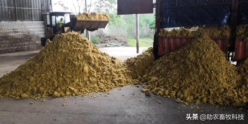 菠萝皮怎么做成饲料,菠萝皮可以做什么饲料卖