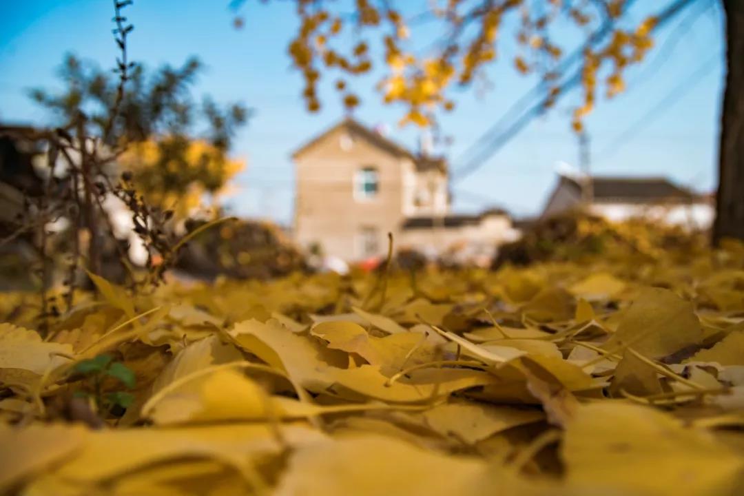 瑗垮北宀涢噾婊″涵,鑻忓窞瑗垮北宀涢噾婊″涵