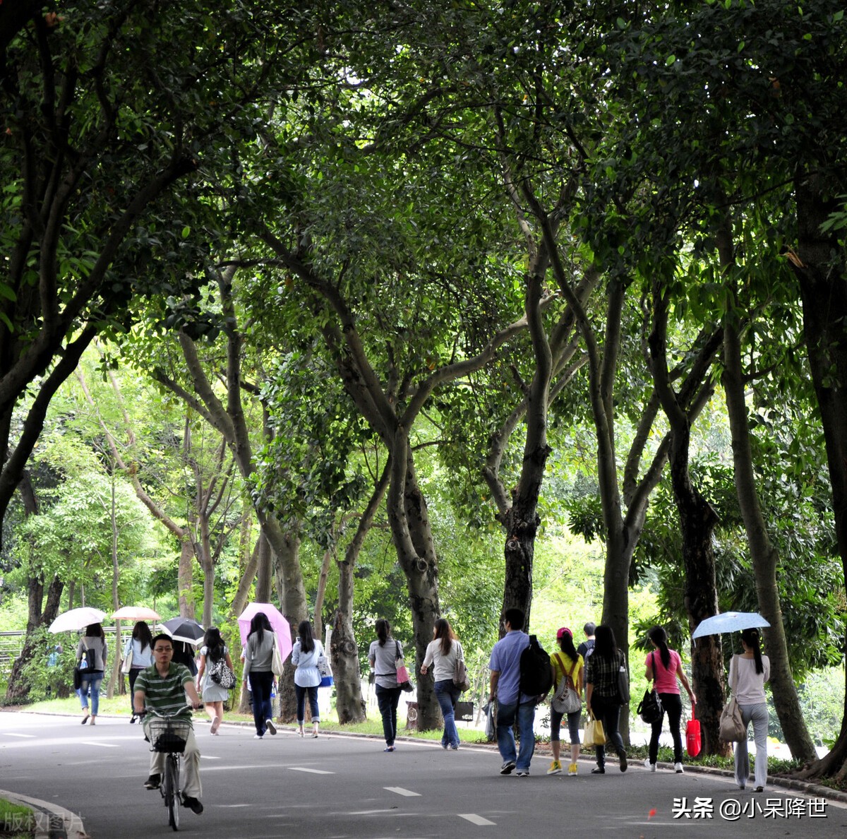 深圳一座年轻而又浮躁的城市,深圳充满活力又孤独的城市