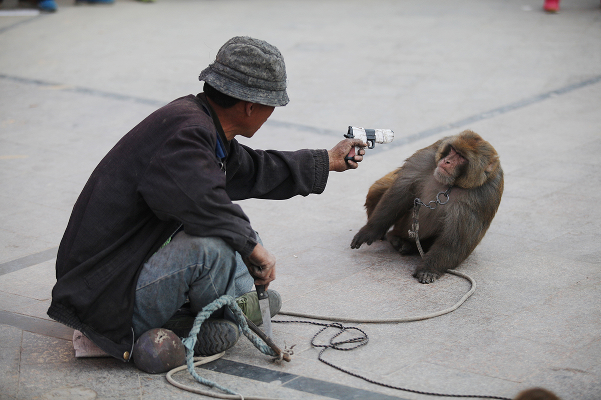 兰州耍猴人,甘肃兰州的耍猴艺人
