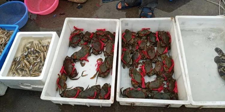 浣犲涔呮病鍘绘捣杈瑰害鍋囦簡,浣犲涔呮病鏈夊嚭闂ㄦ梾娓镐簡