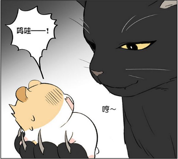 仓鼠跑步速度有多快,仓鼠跑步的速度有多快