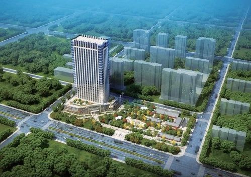 牛总创业经历视频,牛总投资