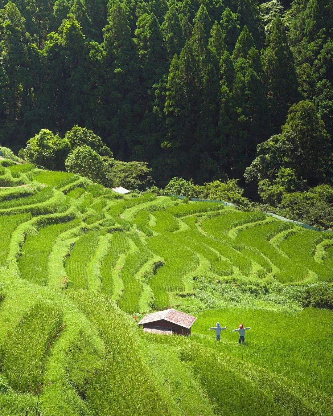 名古屋附近值得去的地方,名古屋附近有好玩的地方吗