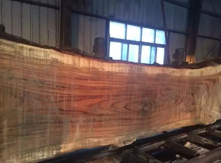 你知道什么叫木匠吗,你知道什么是榉木吗