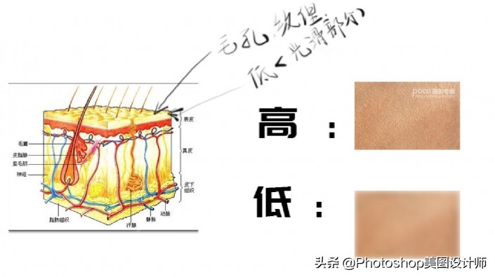 ps如何使用插件高低频磨皮教程,ps实例教程及答案