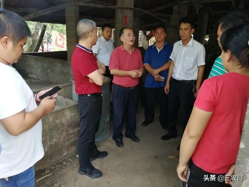 农村无本钱创业22种方法,农村创业项目推荐2022小本生意