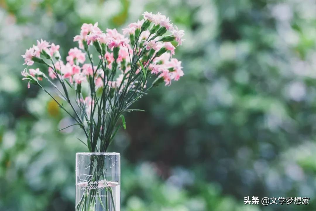 有关宝藏的优美句子,最美诗词唯美短句