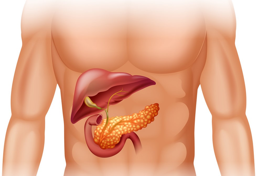 乙肝大三阳需要戒烟吗,乙肝患者应无条件忌酒