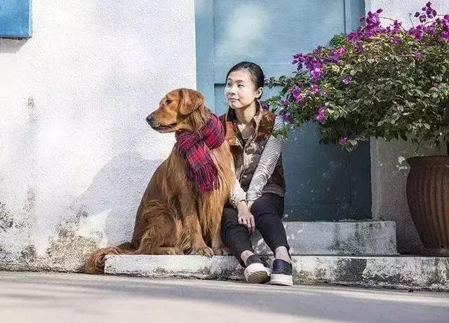 怎样才能解决金毛的体臭,金毛身上很臭怎么去除