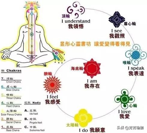 塑形练什么瑜伽最有气质,怎样练瑜伽才能让你更美