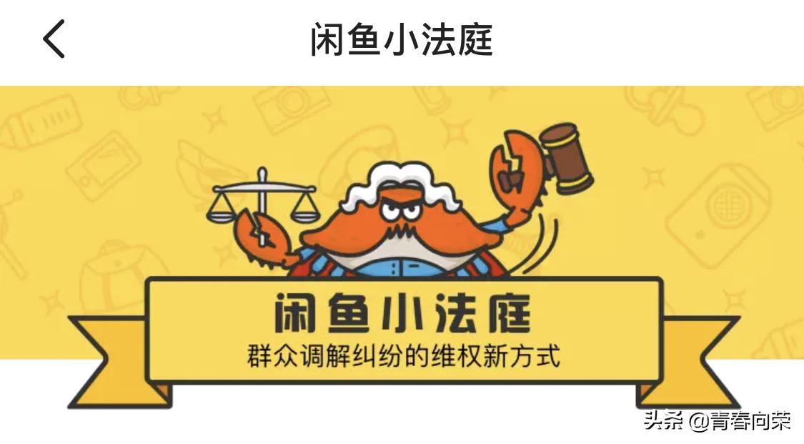 闲鱼操作流程及注意事项,闲鱼经验