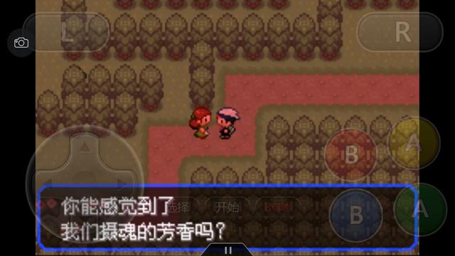 究极绿宝石一周目神兽攻略 (究极绿宝石5一周目能不能mega进化)