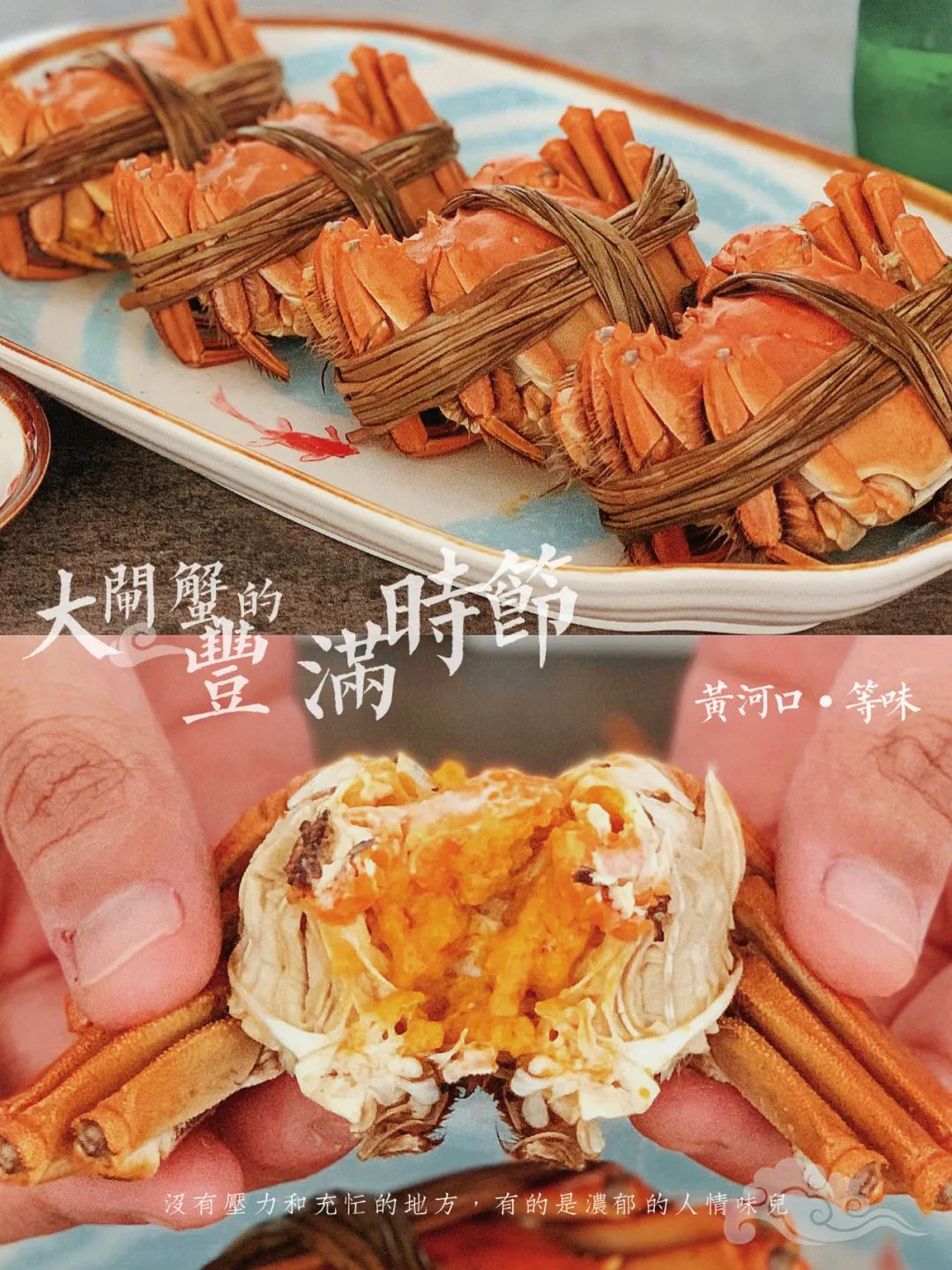 山东东营位置,这就是东营