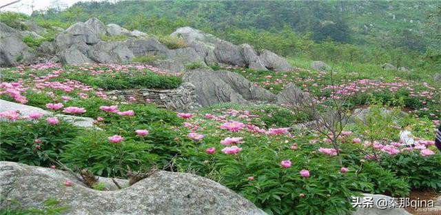 南陵地名的来源,南陵县历史地名