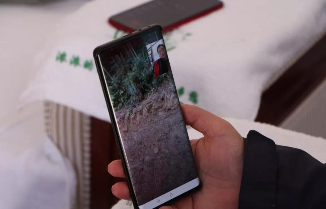 江西深山里，有人正布局黄精产业，想不到他还是一位跨界新农人