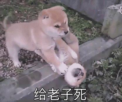 口罩抢钱爽，包邮火葬场