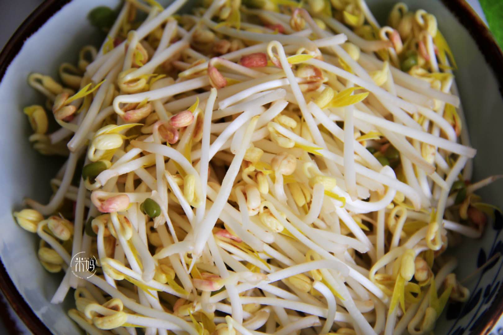 才知道生黄豆芽还能这么简单,发豆芽过程及观察记录