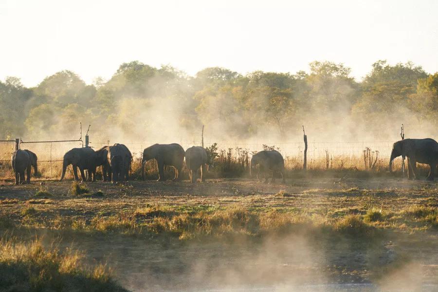 只为一串佛珠，他活剥了我妈的皮：人心有多可怕，你根本想象不到